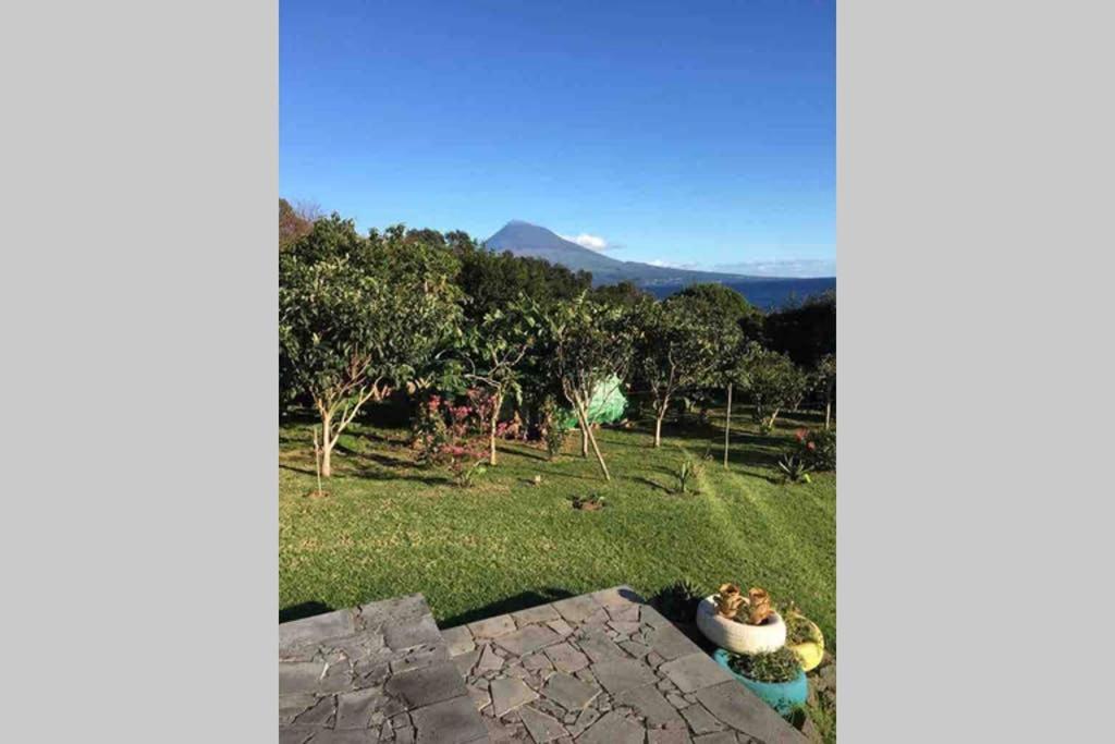 Summer House With Bbq And Garden Horta  Exterior foto